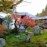 可愛いよ、こっち見て　（南禅寺　方丈にて　５）