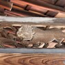 頭の上の虎　（南禅寺　方丈にて　６）