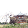 天岑寺1