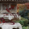天岑寺3