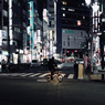 Cross road : Nishi-Kamata, Ōta Ku
