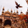 VENEZIA