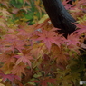 天岑寺12