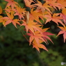天岑寺15