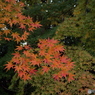 天岑寺16