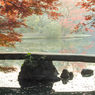 六義園その４