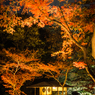 六義園その７