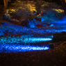 六義園その８