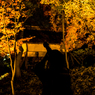 六義園その１０