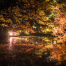 六義園その１２