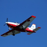 大空を羽ばたく