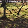 （南禅寺　三門近辺　２）