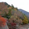永源寺のもみじが紅葉