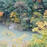 永源寺のもみじが紅葉