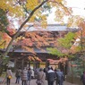 永源寺のもみじが紅葉
