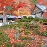 永源寺のもみじが紅葉