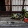 商店街の片隅で