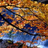 写真エッセイ：花貫紅葉２：紅葉流水