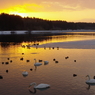photo_731905