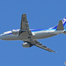 「すかい」 ANA 737-500 JA306K 飛行