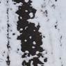 雪のなぞなぞ１