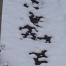 雪のなぞなぞ２