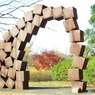 もみじ4