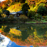 建長寺の秋 I