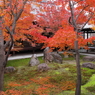 建仁寺錦秋４