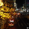 歩道橋より1