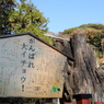 鶴岡八幡宮Ⅱ