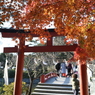 鶴岡八幡宮Ⅲ