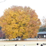 みんなの原っぱ10