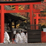糺の森散策6