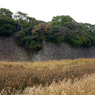 蓮池濠
