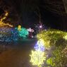 DSCF5334_624