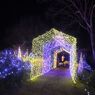 DSCF5338_624