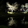 DSCF5350_624