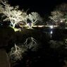 DSCF5351_624