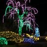 DSCF5383_624