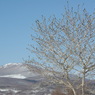 photo_734558