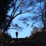 一丁平への木段
