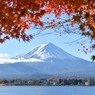 紅葉と富士