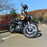 kawasaki・W800：カワセミの公園で・・