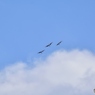12月の空高く