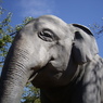 東山動植物園にて