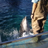 名古屋港水族館にて