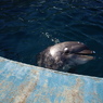名古屋港水族館にて