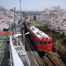 平戸橋にて