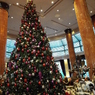 クリスマスツリー3
